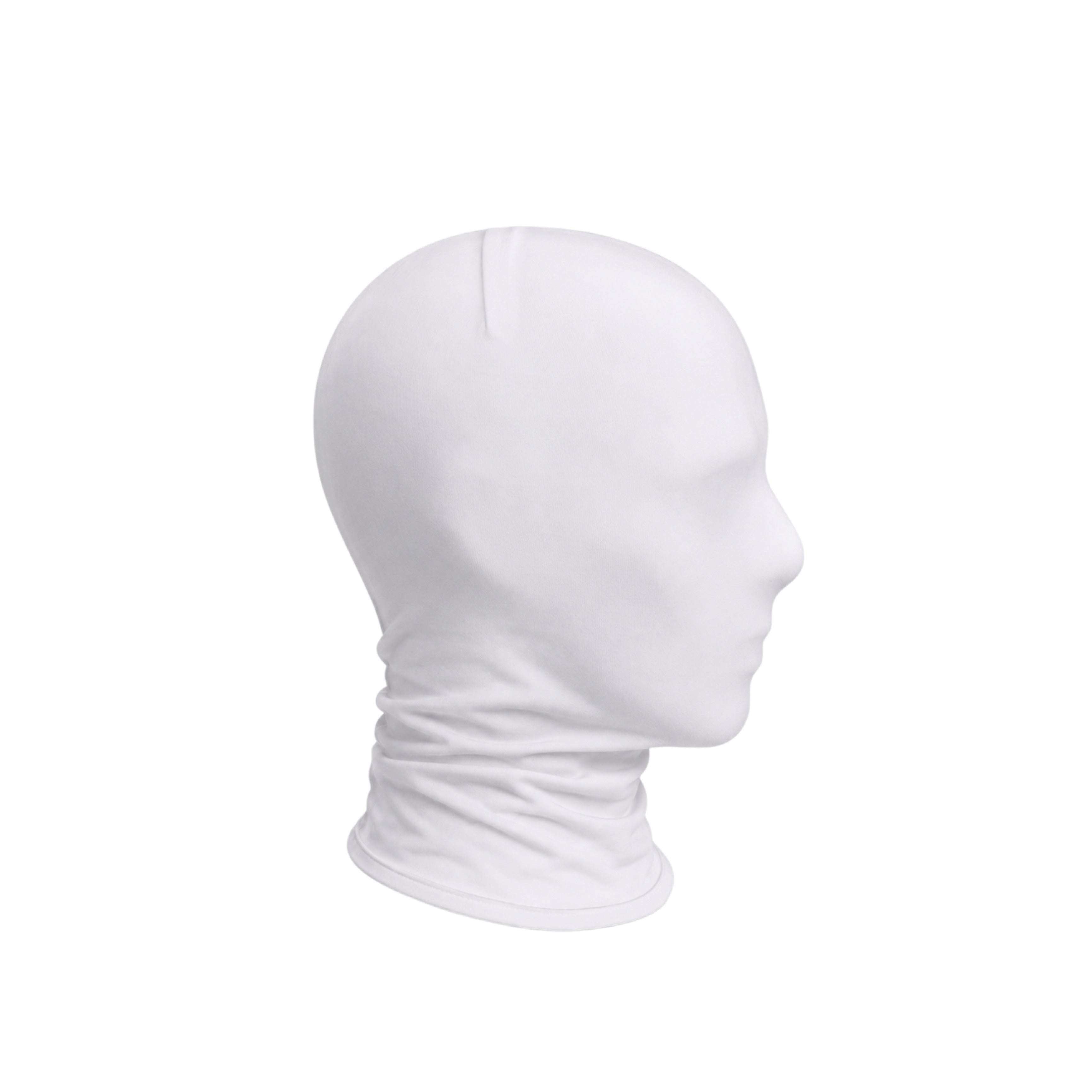 SUBJECT 01 MASK